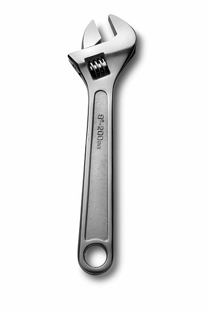 Adjustable Spanner 8-12 inch